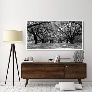 Avenue Of Oaks, South Carolina-Paper Art-74,,X38,,
