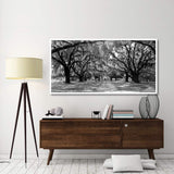 Avenue Of Oaks, South Carolina-Paper Art-74,,X38,,