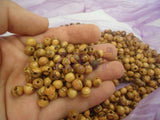 ZULUF 9mm Olive Wood Catholic Rosary Beads (1000pcs) Protestant Prayer Beads Bulk for Rosary Making Wooden Craft Jewelry Supplie