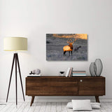 Elk At First Light-Canvas Art-44X28.6