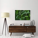 Green Vine Snake Camouflaged Among Rainforest Leaves, Costa Rica-Paper Art-50,,X34,,