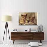 African Lion Cubs Resting On A Rock, Hwange National Park, Zimbabwe, Africa-Paper Art-50,,X34,,