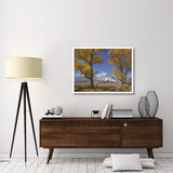 Cottonwood Trees, Fall Foliage, Carson Valley, Nevada-Paper Art-42,,X32,,