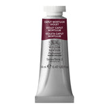 Winsor & Newton Professional Watercolor, 14ml (0.47oz) Tube, Caput Mortuum Violet