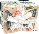 Bon Voyage AB Bundle by Janet Clare, 25 18inch by 22inch Precut Fabric Fat Quarters