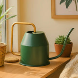 Ugaoo Metal Watering Can (Green, 900 Ml) With Long Spout For Indoor And Outdoor Gardening