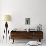 Black Bear Juvenile Male In Tree, Orr, Minnesota-Paper Art-14,,X20,,