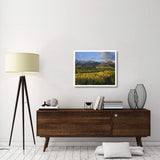 Quaking Aspen Forest And Mount Sneffels, San Juan Mountains, Colorado-Paper Art-32,,X26.9,,