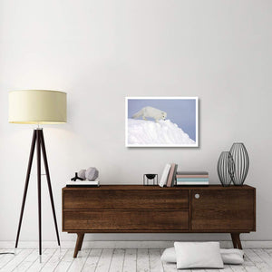 Arctic Fox On Snow Drift, Tundra, Arctic-Paper Art-32,,X22,,