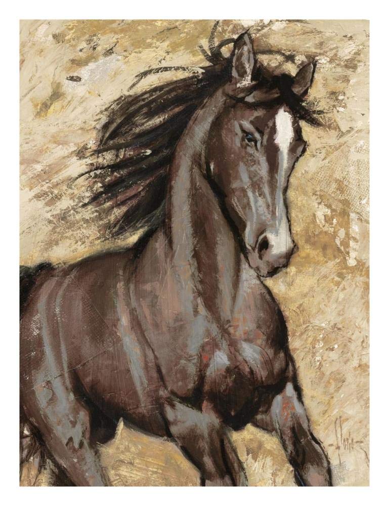 Maestoso-Paper Art-20,,X26,,