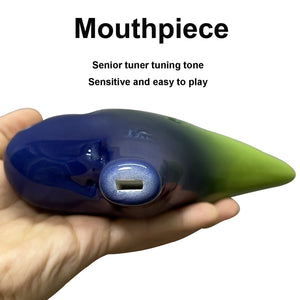 DHwebWLP 12 Hole Ocarina Instrument With Song Book for Beginner,Alto C Ceramic Ocarina(Green & Blue)