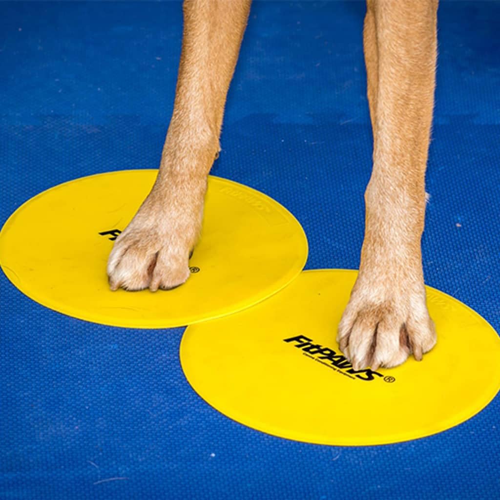FitPAWS Dog Training Targets 10, Set of 4 | Dog Exercise Equipment for Fitness & Rehabilitation