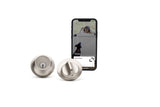 Level Lock - Previous Model (Satin Nickel)
