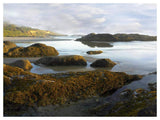 Seaweed Covered Rocks Exposed At Low Tide, Neptune Beach, Oregon-Paper Art-50,,X38,,
