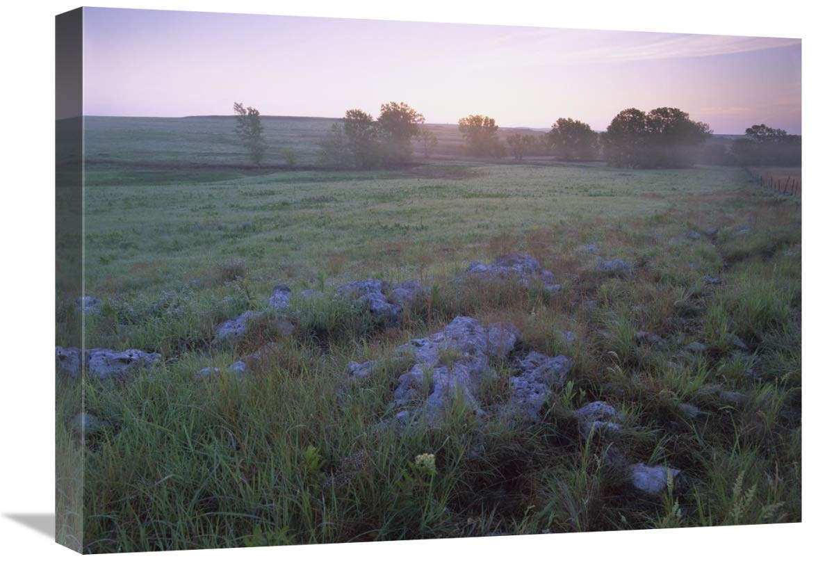 Misty Morning Over Prairie, Tallgrass Prairie National Preserve, Kansas-Canvas Art-24X18