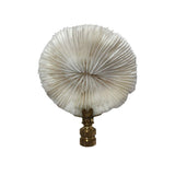 Royal Designs, Inc. F-5069PB-1 Natural Coral Lamp Finial, White Mushroom Coral, Polished Brass Base
