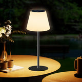 Dansny Solar Table Lamp Rechargeable Outdoor Solar Lamps with Light Sensor,Battery Operated Outdoor Lamps for Patio Waterproof,D