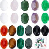 SUNNYCLUE 1 Box 20Pcs Stone Cabochons Flatback Natural Gemstone Cabochons Oval Cabochon 14x10mm Flat Back No Hole Tiger Eye Amet