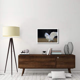 Snowy Owl Adult, Circumpolar Species, British Columbia, Canada-Paper Art-32,,X22,,