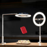 NEEWER Entry Level Version 10 7W LED Selfie Ring Light with Desk Clamp Stand Phone Holder for iPhone, Laptop Video Conference St