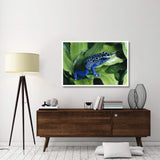 Blue Poison Dart Frog Very Tiny Frog Used By Indian Tribes To Poison Tips Of Arrows, Native To South America-Paper Art-50,,X34,,