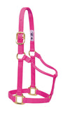 Weaver Leather Original Non-Adjustable Nylon Horse Halter, Average, Diva Pink