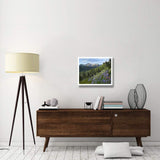 Wildflowers And Tatoosh Range, Mount Rainier National Park, Washington-Paper Art-26,,X22,,