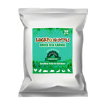 LuckyQworms Dried Black Soldier Fly Larvae, 85X More Calcium Than Mealworms High-Protein BSF Larvae Chicken Treats Non-GMO BSFL 
