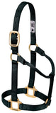 Weaver Leather Original Non Adjustable Halter (Black, Avarage Horse/Yearling Draft)