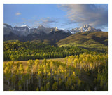 Quaking Aspen Forest And Mount Sneffels, San Juan Mountains, Colorado-Paper Art-32,,X26.9,,