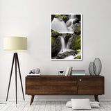 Cascading Creek In Temperate Rainforest Interior, Sitka, Alaska-Paper Art-34,,X50,,