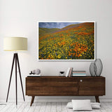 Hills Covered With California Poppies And Lupine Tehachapi Mountains, California-Paper Art-62,,X42,,