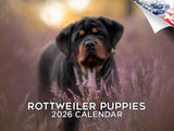 2025 2026 Rottweiler Puppies Calendar - Dog Breed Monthly Wall Calendar - 12 x 18 Open - Thick No-Bleed Paper - Giftable - Acade