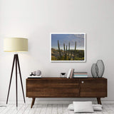 Organ Pipe Cactus Overlooking Chelino Bay, Baja California, Mexico-Paper Art-37,,X30,,