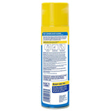 Cleaner Glass Foam 19Oz (Pack Of 1)