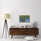 Black-Bellied Whistling Duck Pair Wading, Rio Grand Valley, Texas-Canvas Art-30X20