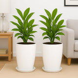 Trustbasket Blossom 12 Inch (Set Of 2) Solid White Flower Pot| Lightweight & Durable For Indoor/Outdoor | For Big Size Plants/Fl
