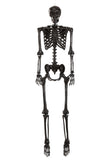 Crazy Bonez Black PoseNStay Skeleton