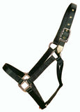 Hamilton 1-Inch Nylon Horse Halter, Yearling, 300 to 500-Pound, Black