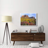 Chuparosa And Brittlebush Superstition Mountains, Arizona-Paper Art-42,,X32,,