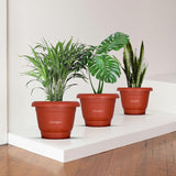Cinagro 8Inch Plastic Red Round Pots Pack Of 3, Fits 6.5 Inch Bottom Tray