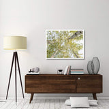 Birch Woods In Spring-Paper Art-42,,X32,,