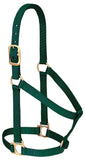 Weaver Leather Basic Non-Adjustable Nylon Horse Halter, Hunter Green, 1 Small Horse