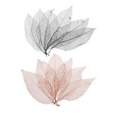 Calandis 100 Pieces Natural Magnolia Leaf Leaves Scrapbooking Black Coffee | Other Scrapbook Embellishments | Scrapbooking Embel