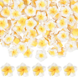 SUNNYCLUE 1 Box 100Pcs 15mm Plumeria Flower Beads Hawaiian Flower Beads White Frangipani 3D Clay Summer Hawaii Beach Floral Loos