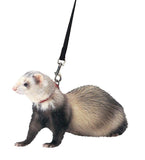Marshall Ferret Harness and Lead Set - 48 - Black Color - Adjustable 3/8 Flat Nylon with Quick-Snap Buckles - Escape-Resistant D