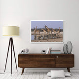 Burchell'S Zebra And Giraffe At Waterhole, Etosha National Park, Namibia-Paper Art-50,,X34,,