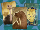 Horrible Guild Similo Wild Animals: A Fast-Playing Family Card Game - Guess The Secret Wild Animal Character, 1 Player Is The Cl