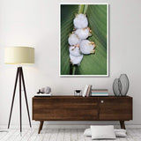 Honduran White Bat Group Roosting Under Heliconia Leaf, Rainforest, Costa Rica-Paper Art-42,,X62,,