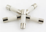 2.5A 5x20mm T2.5A Slow-Blow Ceramic Fuse, 250V, 5 Qty, Marked, Replacement